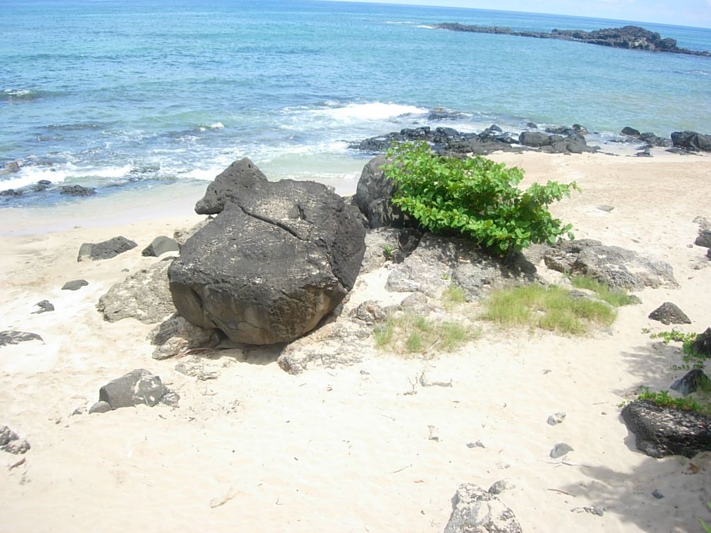 turtle cove beach big4.jpg